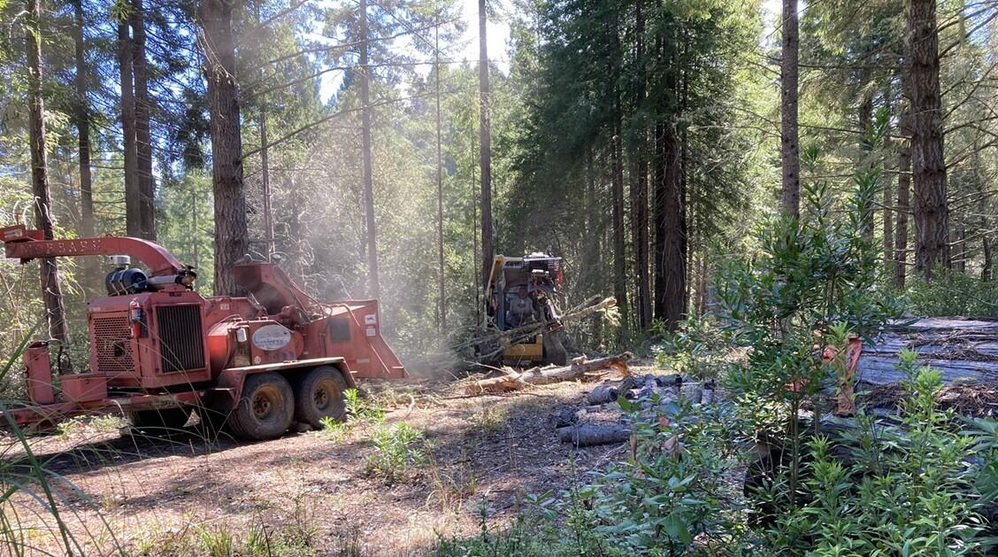 Campaign cover image for Aranya Bodhi Hermitage Fire Abatement Tree & Road Work