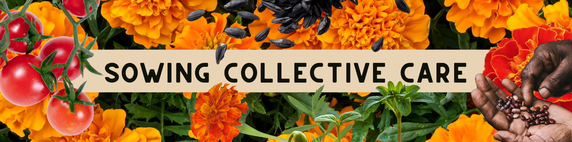 Campaign cover image for Replenish HEAL's 2026 Rapid Response Fund