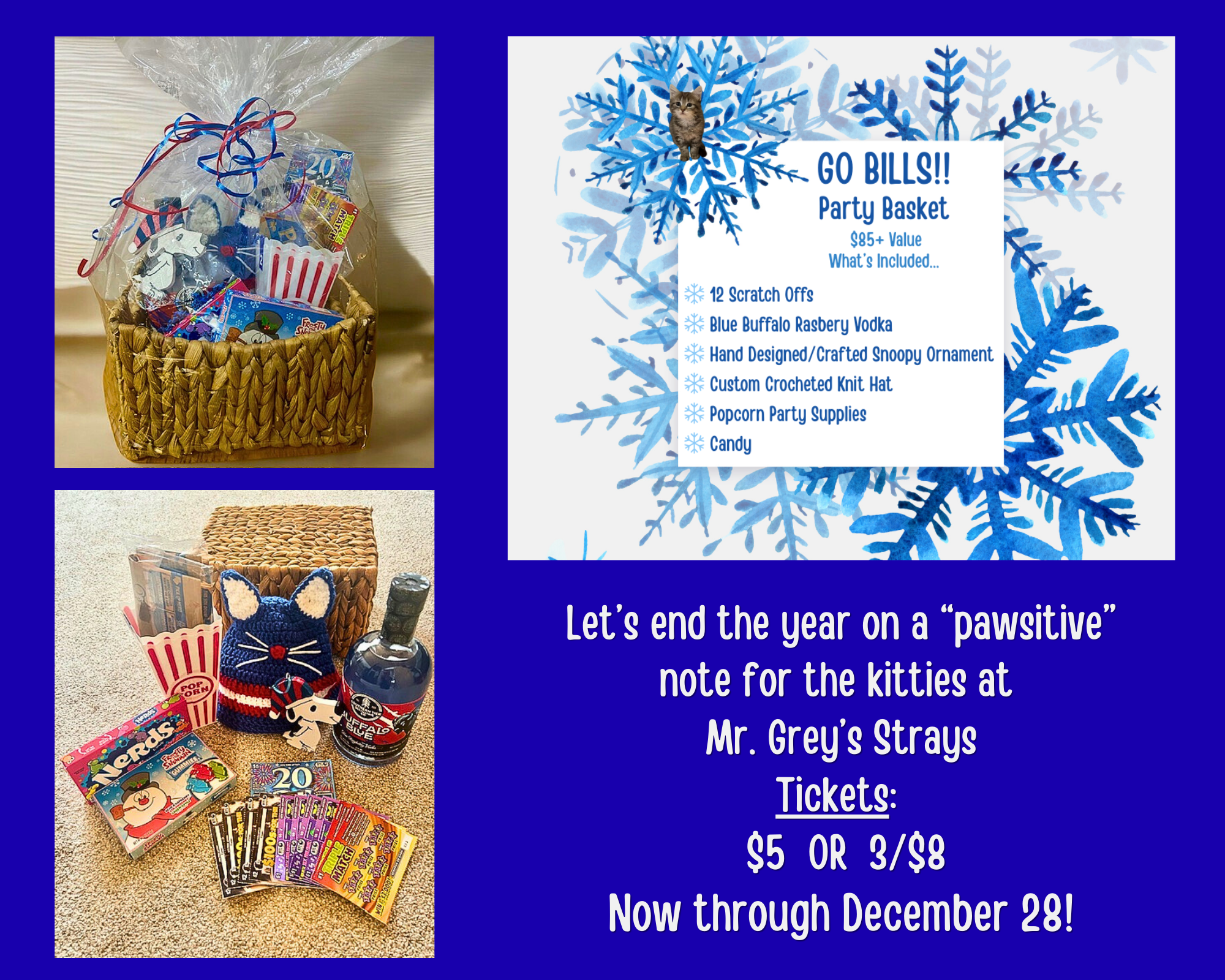 Campaign cover image for Go Bills!