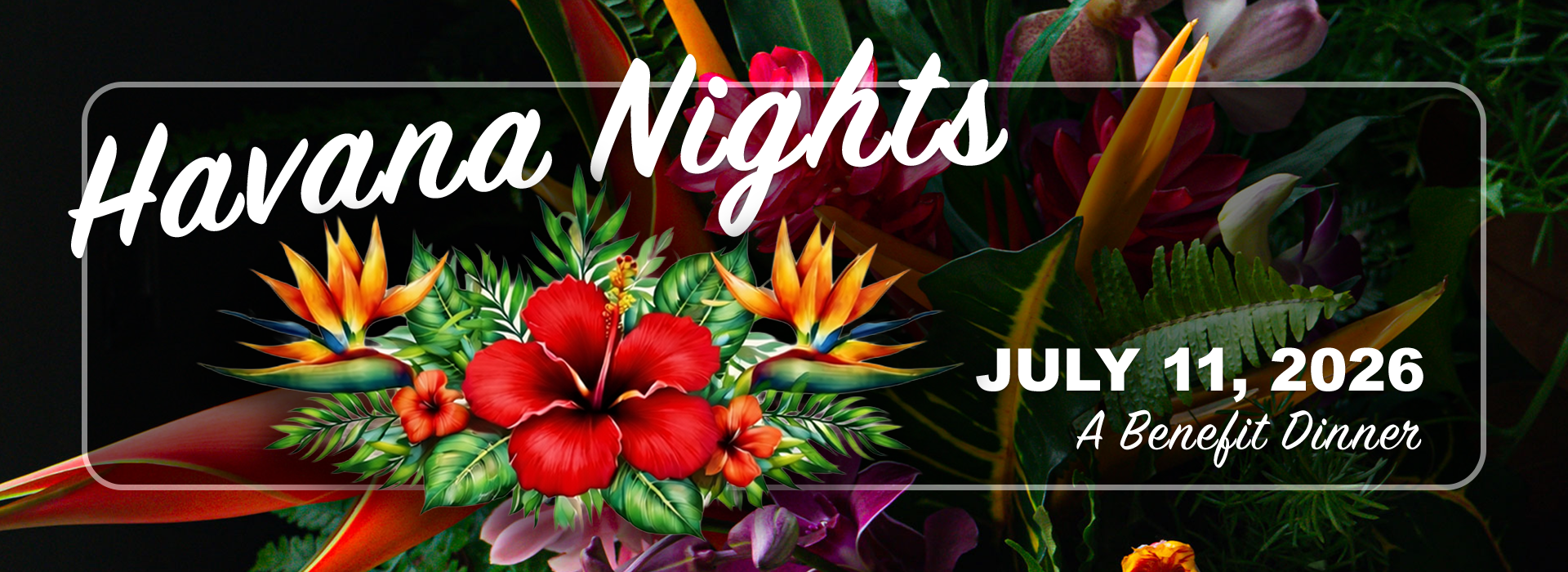 Campaign cover image for Havana Nights Benefit Dinner