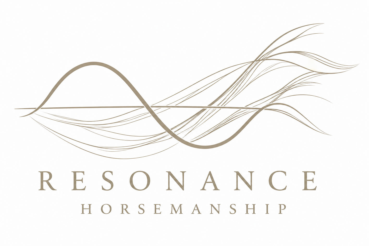 Campaign cover for Support the Sanctuary