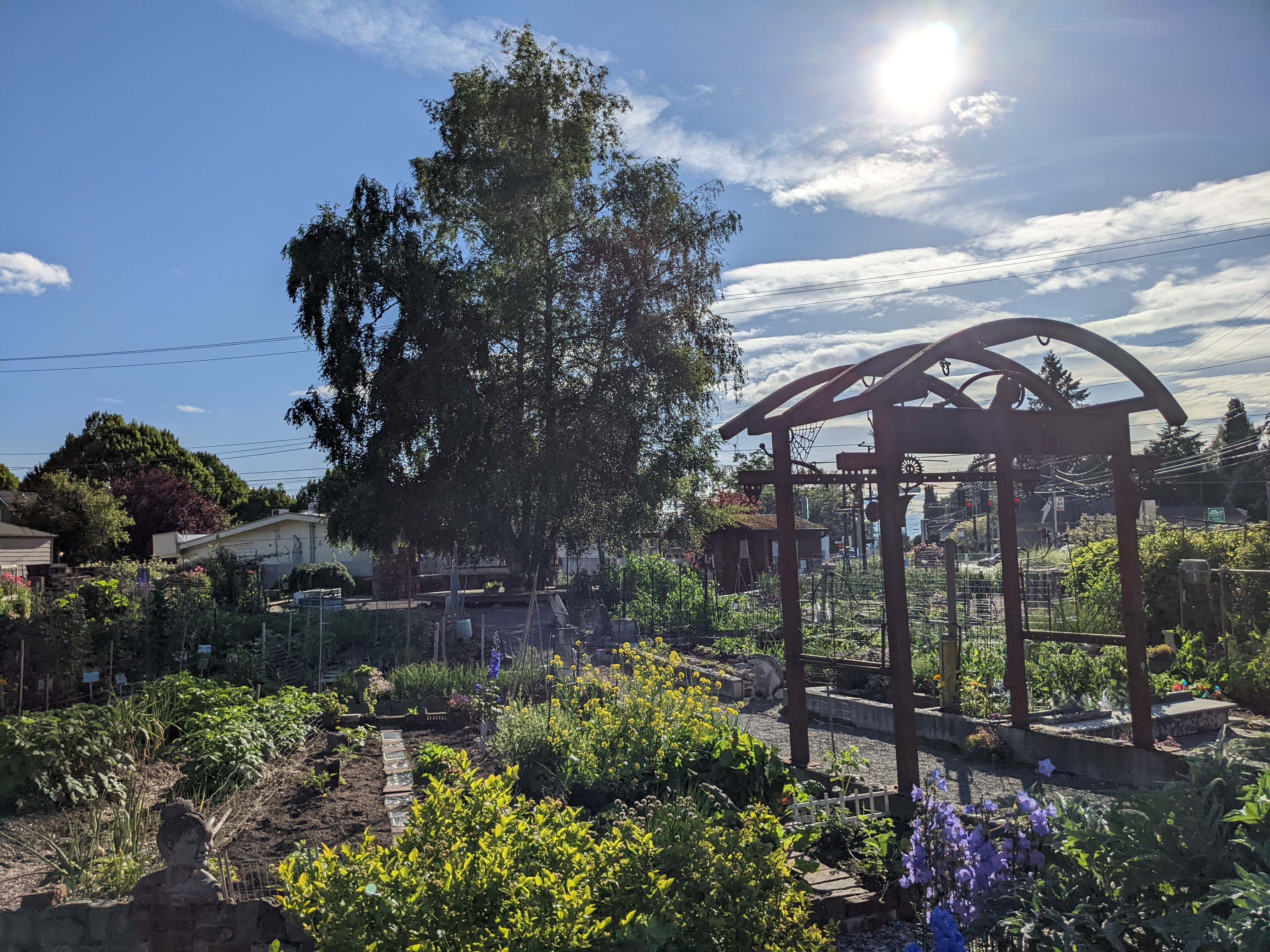 Campaign cover image for Support Barton P Patch