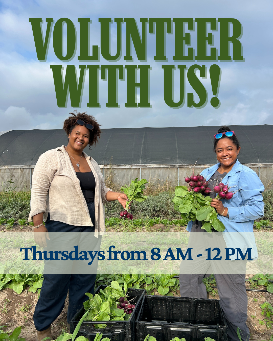 Campaign cover image for Volunteer with Farmshare Austin!