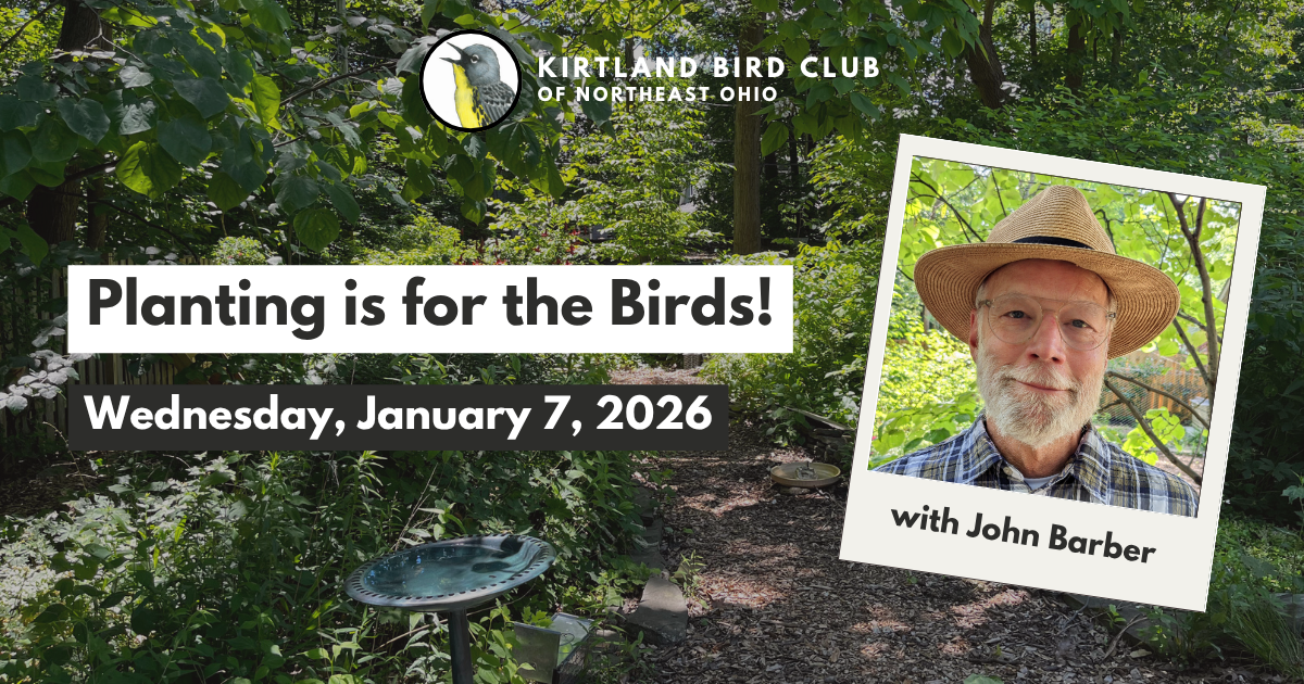 Campaign cover image for February 2026 Speaker Program