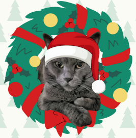 Campaign cover image for Operation Santa Claws 2