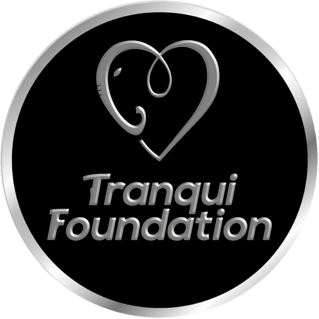 Campaign cover image for Dance Lovers' Social 🌷 3/28