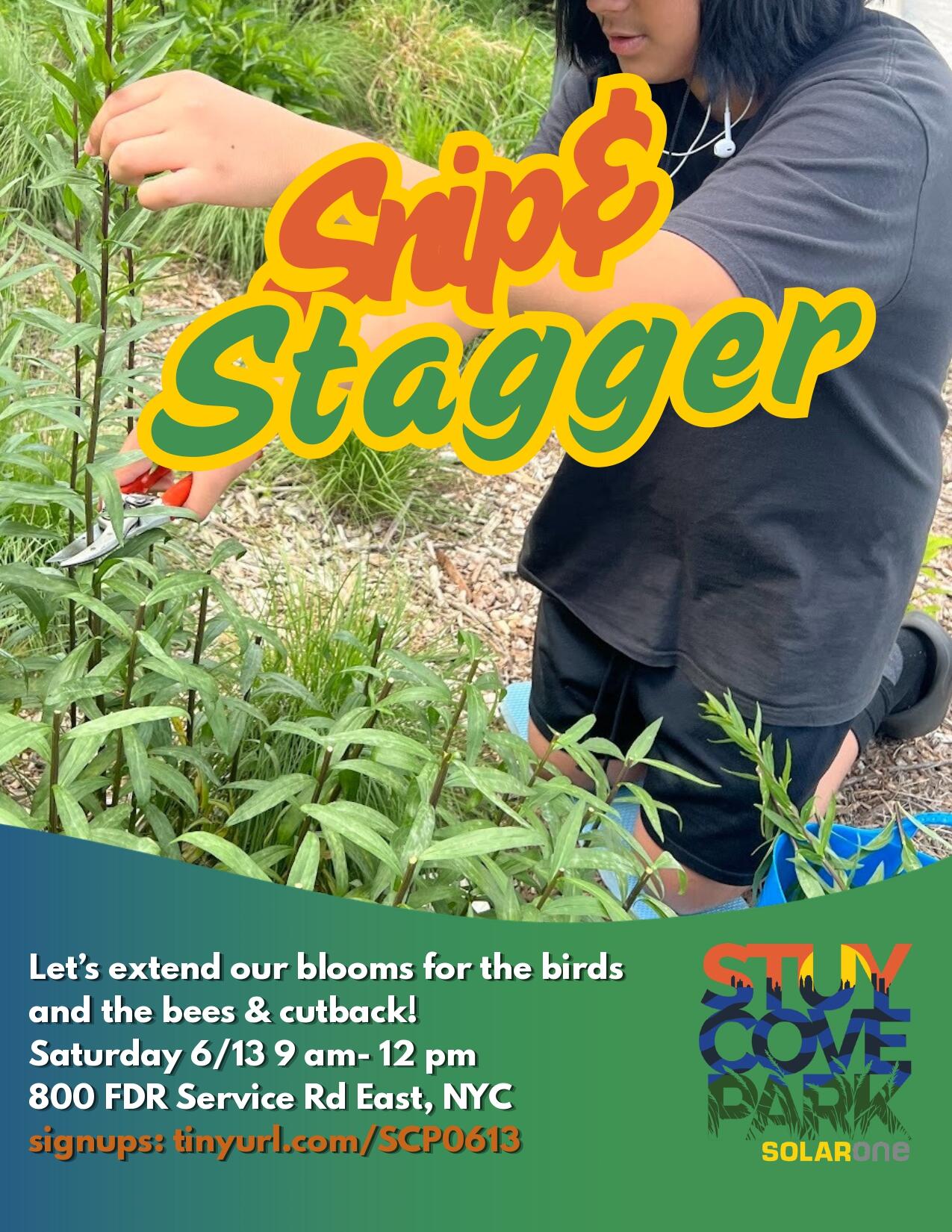 Campaign cover image for INACTIVE 🌿Snip & Stagger: A Chelsea Chop Pruning Party!