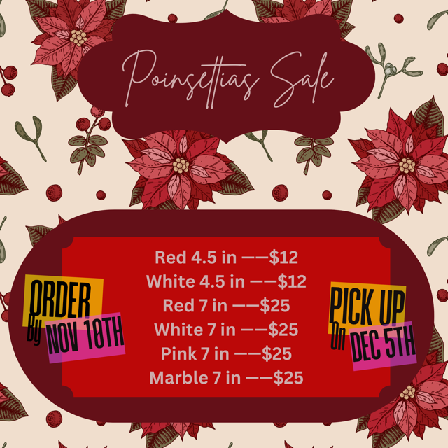 Campaign cover image for Poinsettias Fundraiser