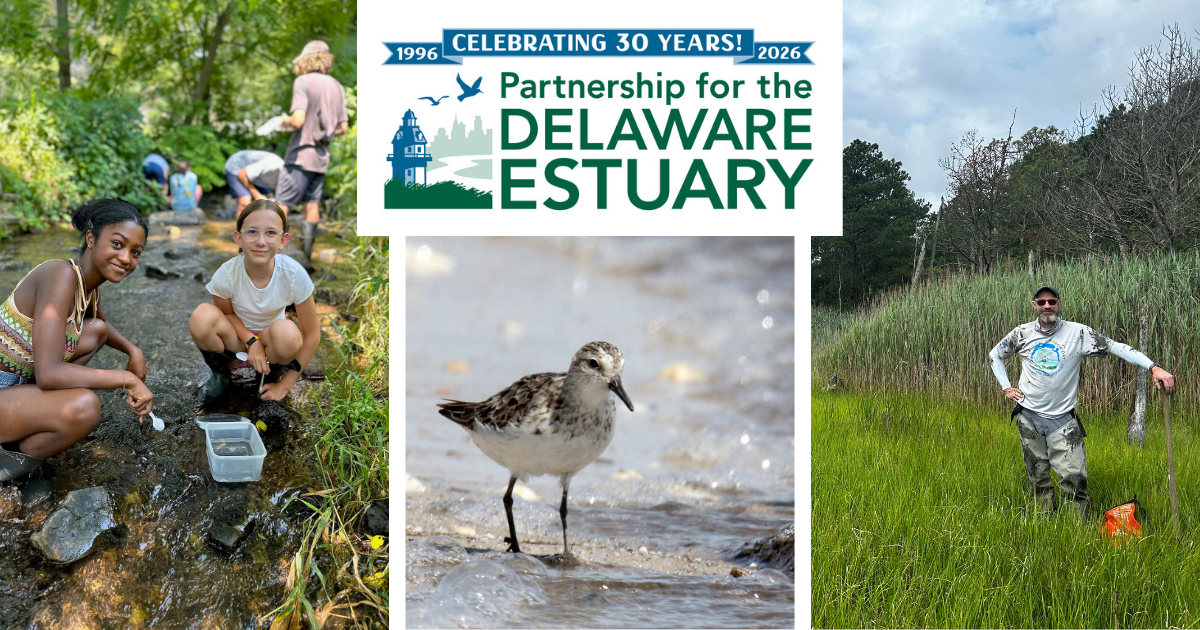 Campaign cover image for Celebrate 30 Years With Us — Give $30 for 30!