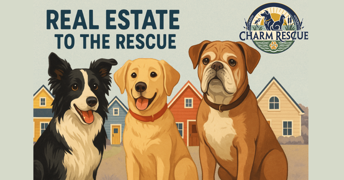 Campaign cover image for 🐾 Real Estate to the Rescue