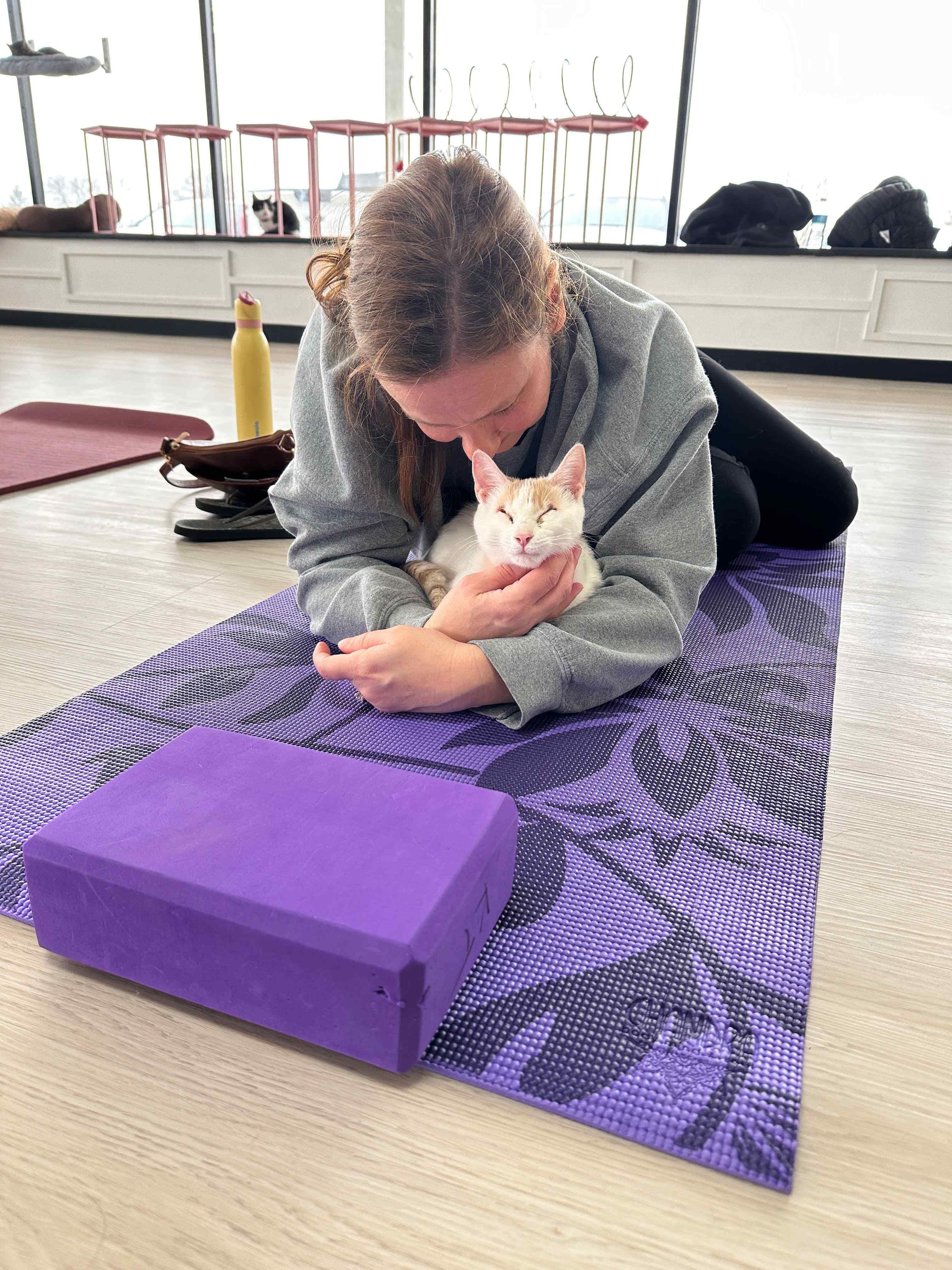Campaign cover image for Kitten Yoga May