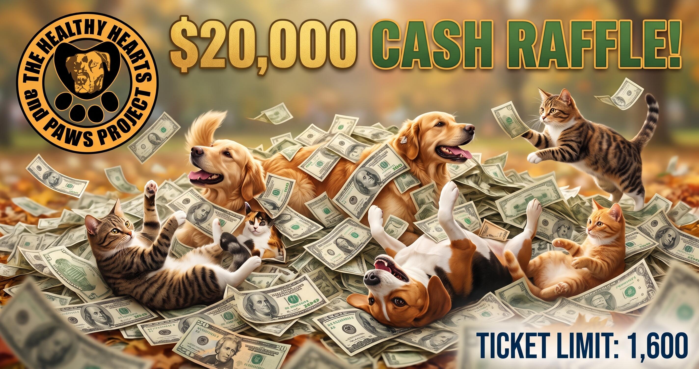 Campaign cover image for $20,000 Cash Raffle