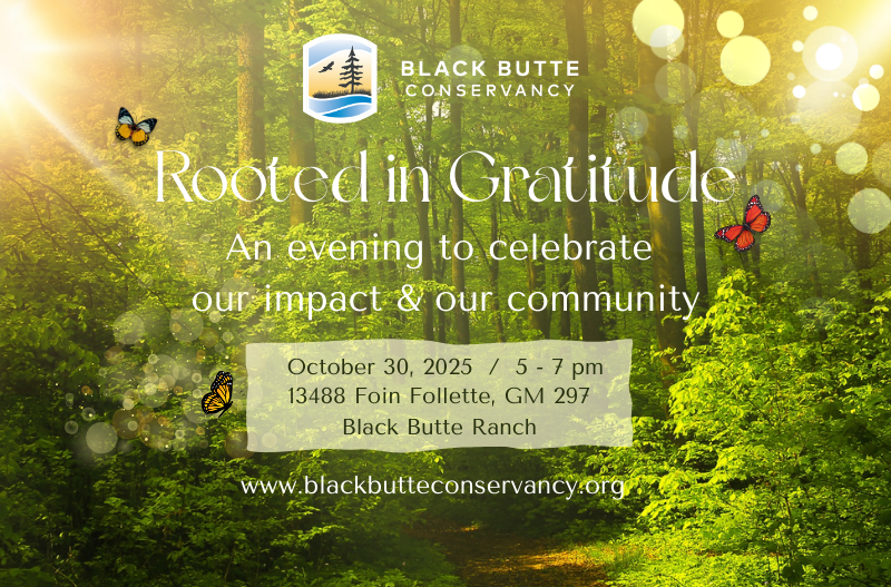 Campaign cover image for Rooted in Gratitude