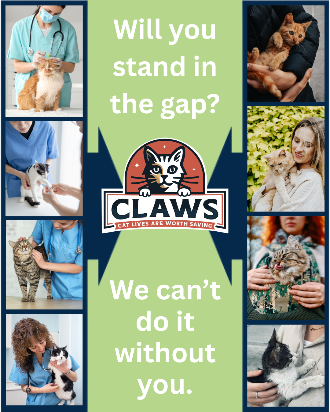 Campaign cover for Stand in the Gap