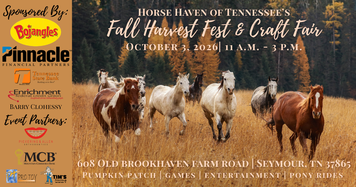 Campaign cover image for Fall Harvest Fest & Craft Fair