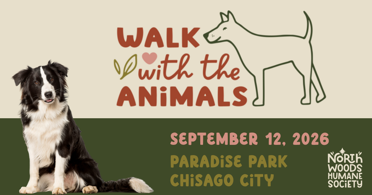 Campaign cover image for Walk With the Animals 2026