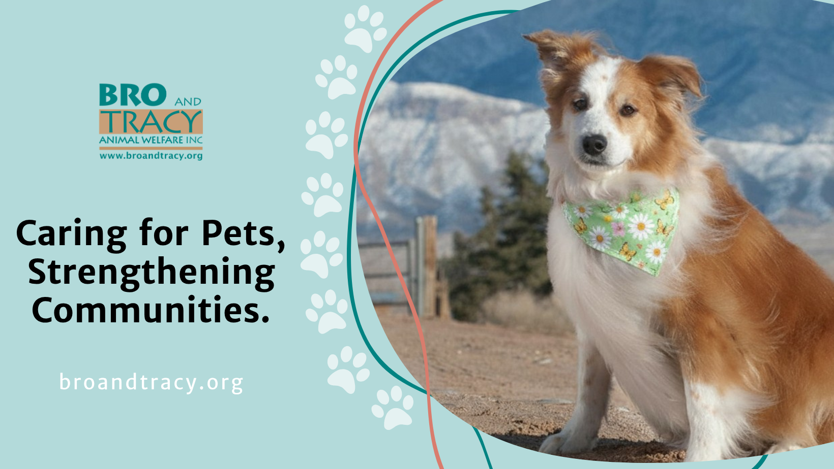 Campaign cover image for End the Cycle: Give Every Dog & Cat a Chance at a Better Life in New Mexico