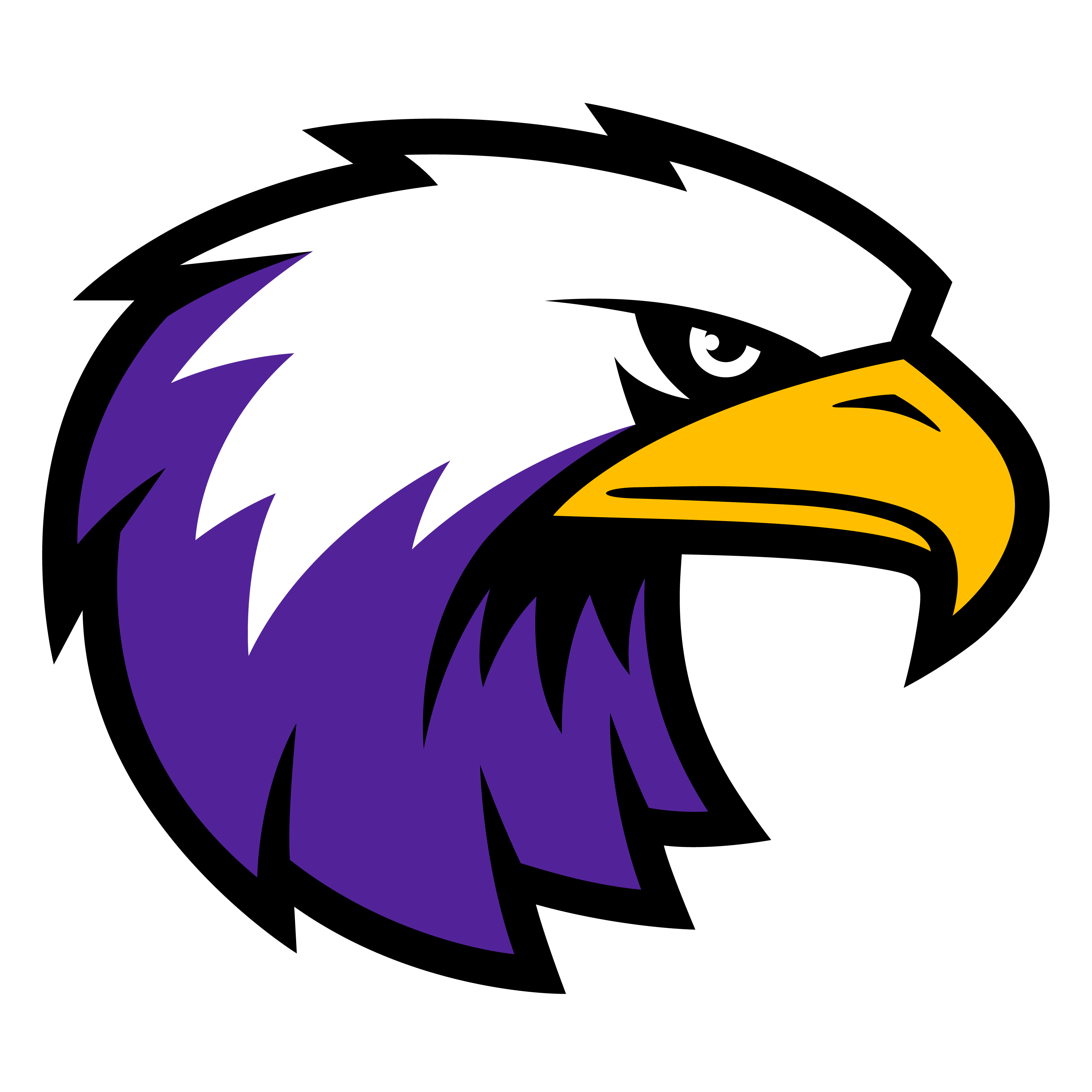 Campaign cover for Join CHCA Athletic Boosters