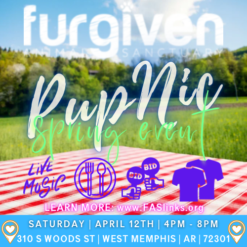 Campaign cover image for 4th Annual Spring Event