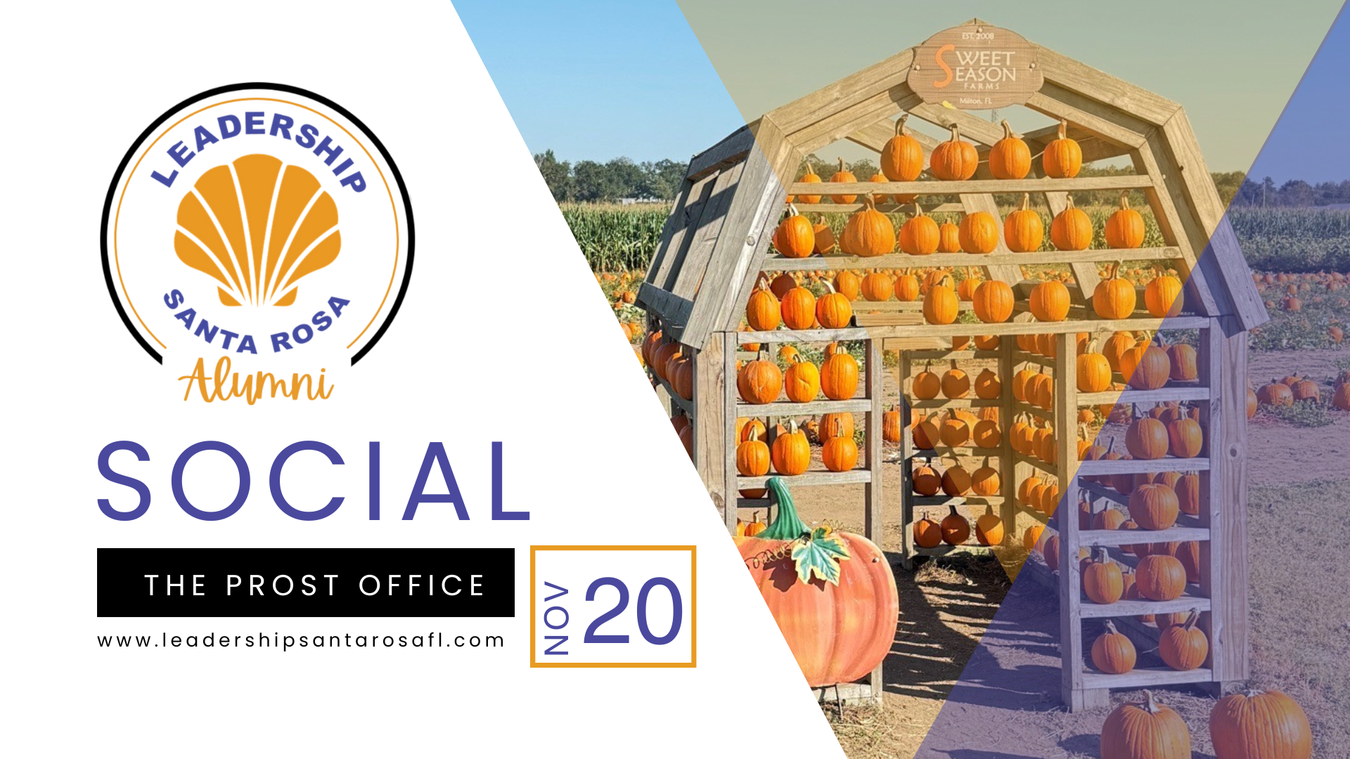 Campaign cover image for LSR Alumni Social - Nov 20, 2025