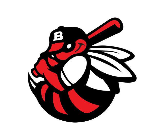 Campaign cover image for Bees Baseball Summer Camp 2026