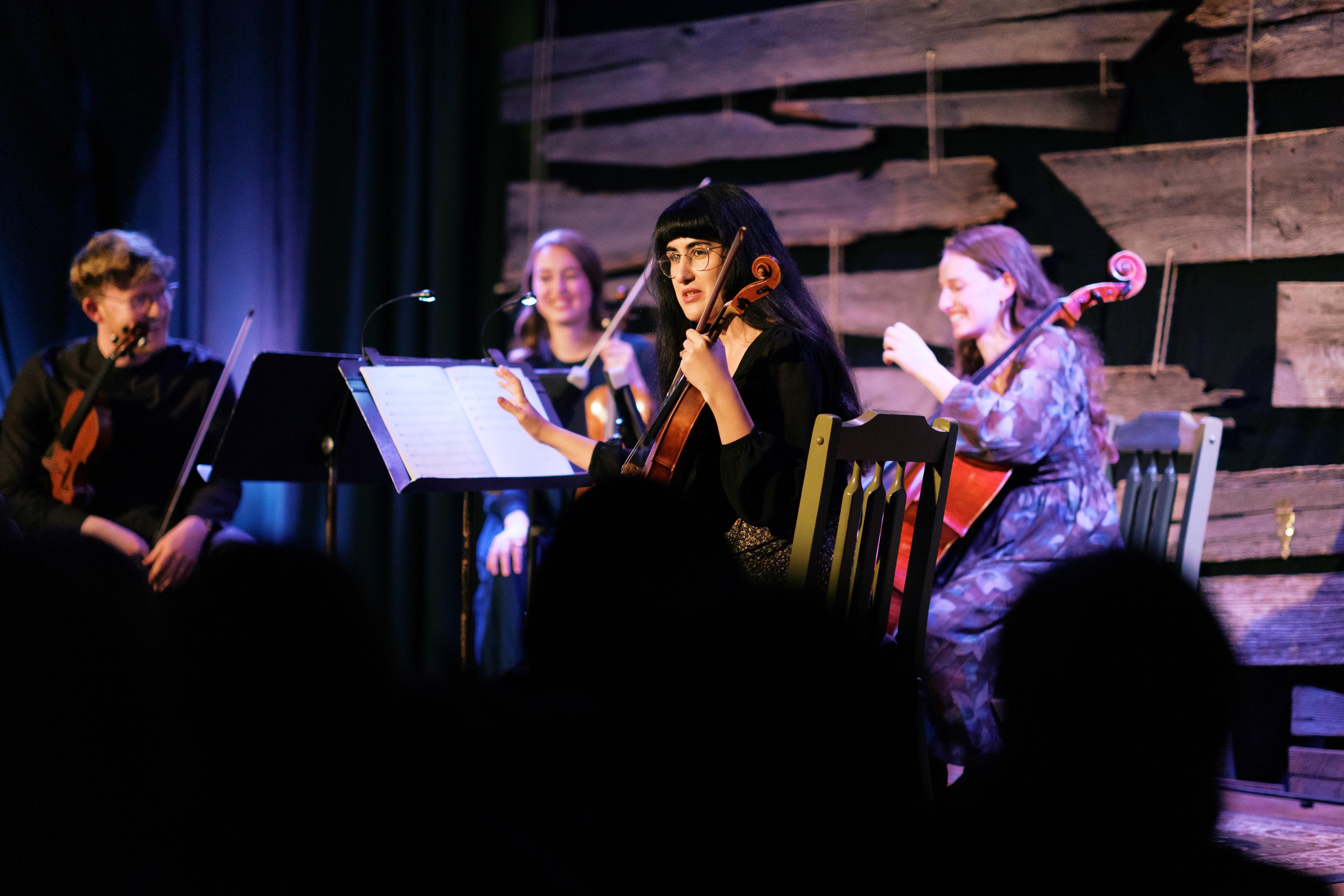 Campaign cover image for DEC 3rd | Huntsville Music Collective: Scandinavian Folk Tunes and Christmas Classics