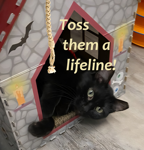 Campaign cover image for Giving Tuesday