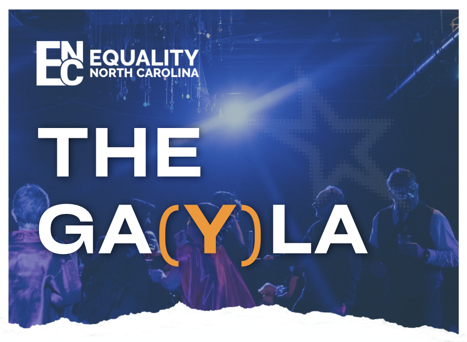 Campaign cover image for The Ga(y)la