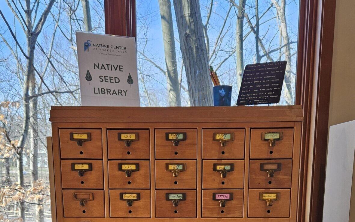 Campaign cover image for Native Seed Collection Workshop