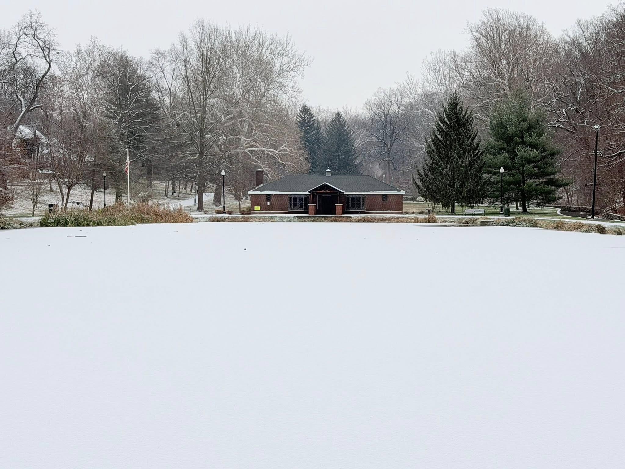 Campaign cover image for Final days of our Christmas Fundraiser 2025