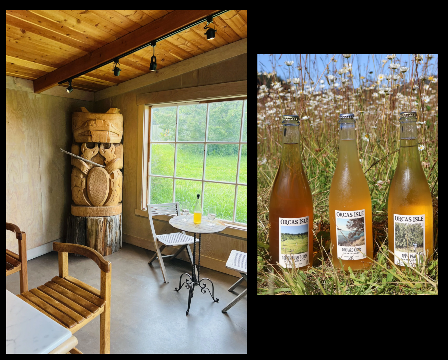 Campaign cover image for Orcas Isle Cider ~ Visit & Taste