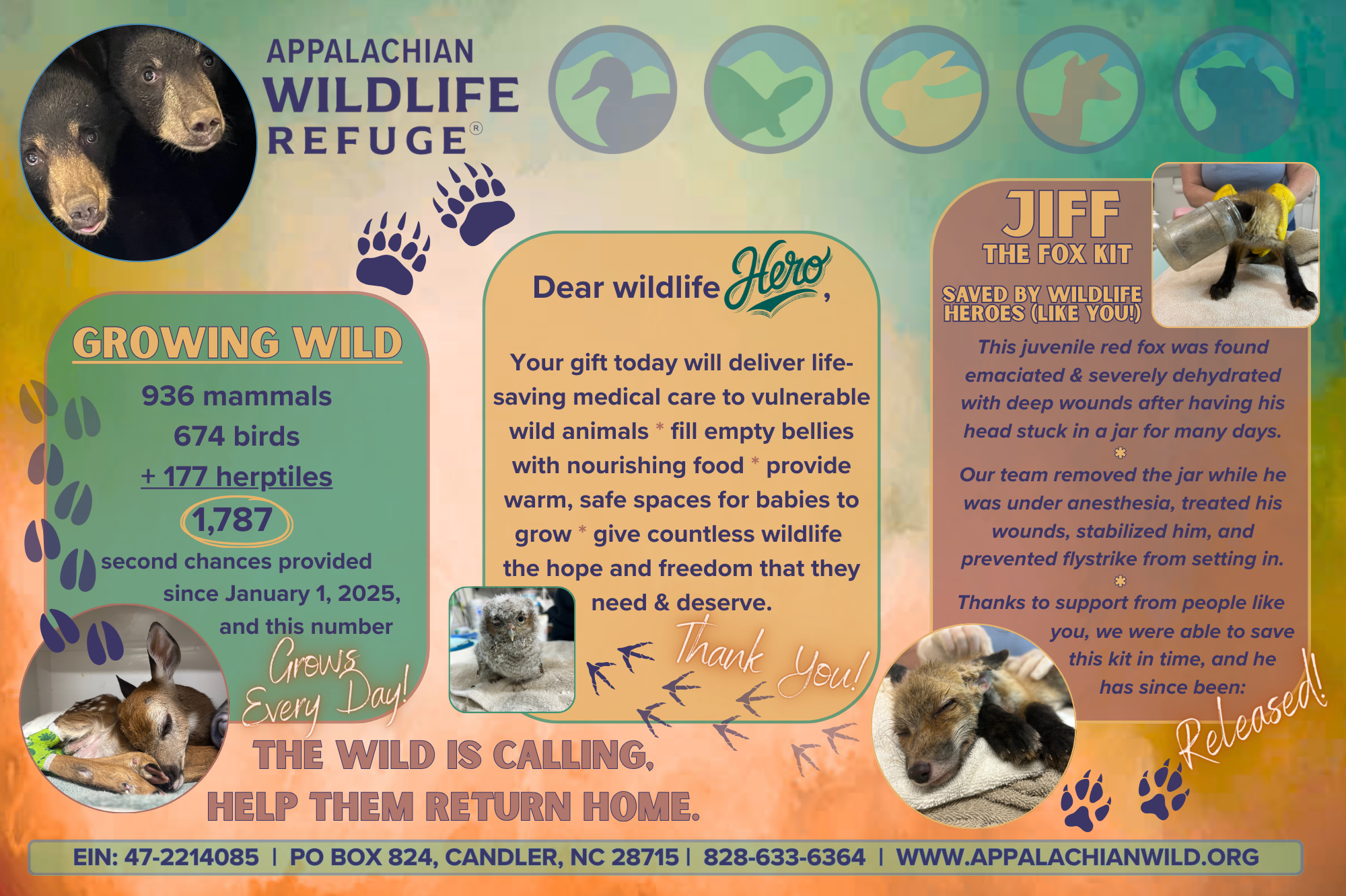 Campaign cover image for Growing Wild for Wildlife