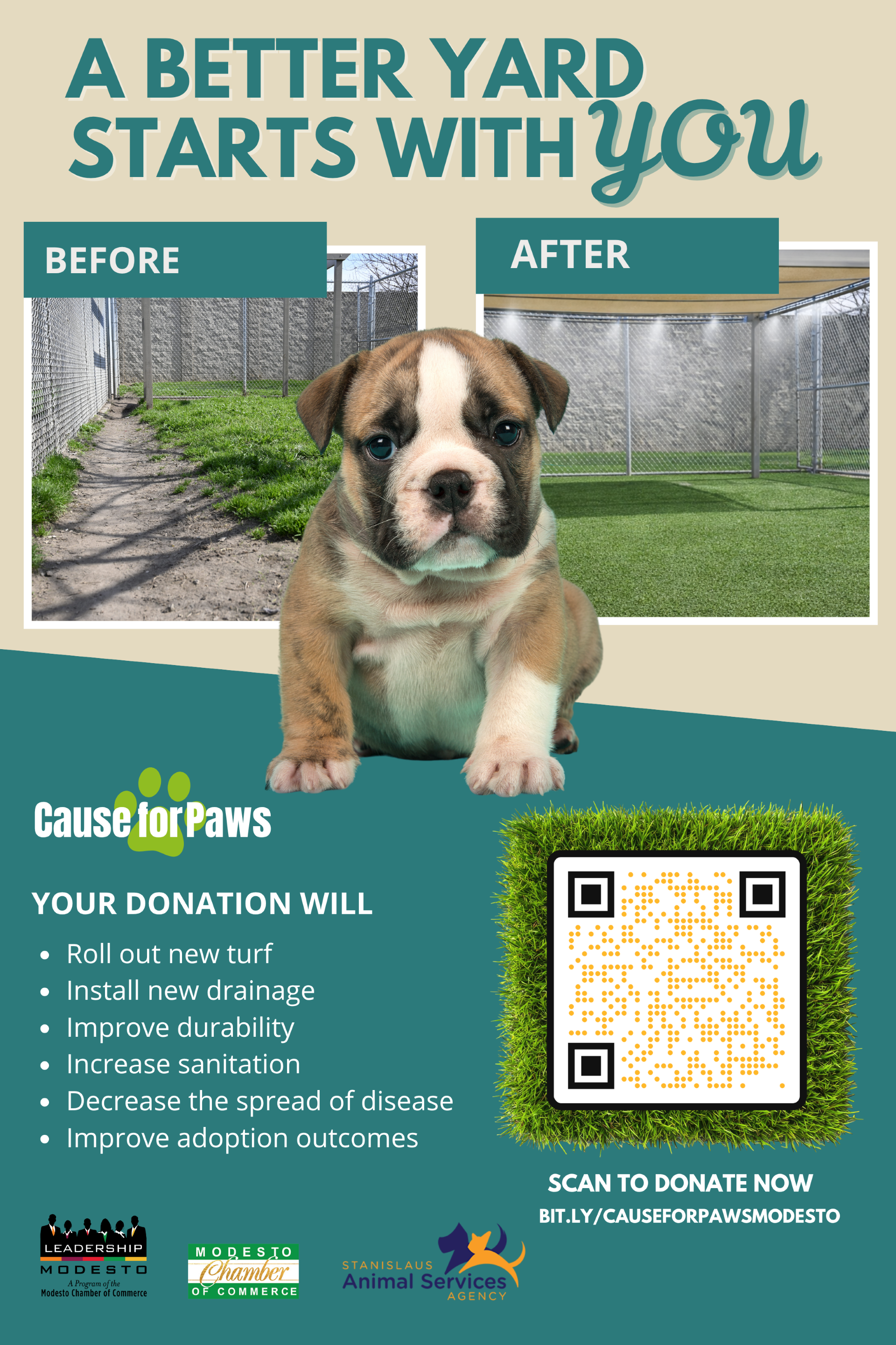 Campaign cover image for Cause for Paws