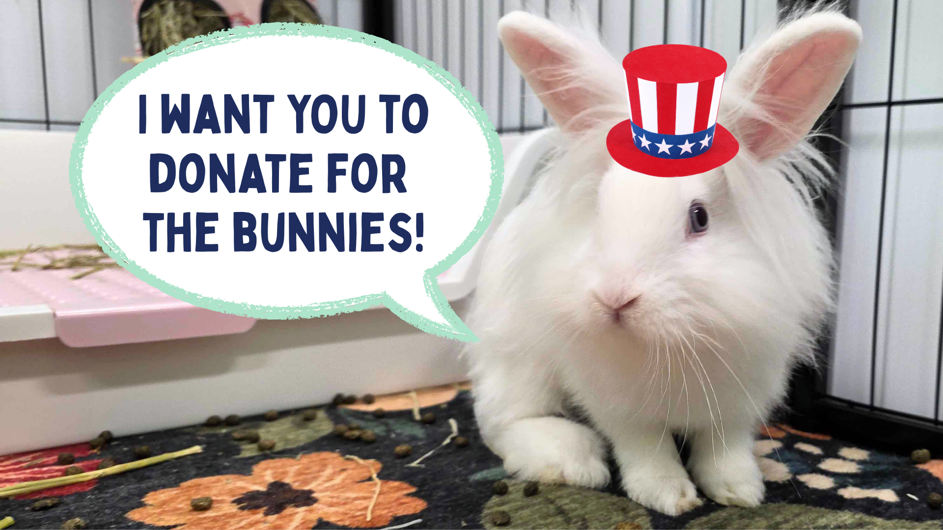 Campaign cover image for Pig Pen Wants YOU to Donate- July 4th Matching