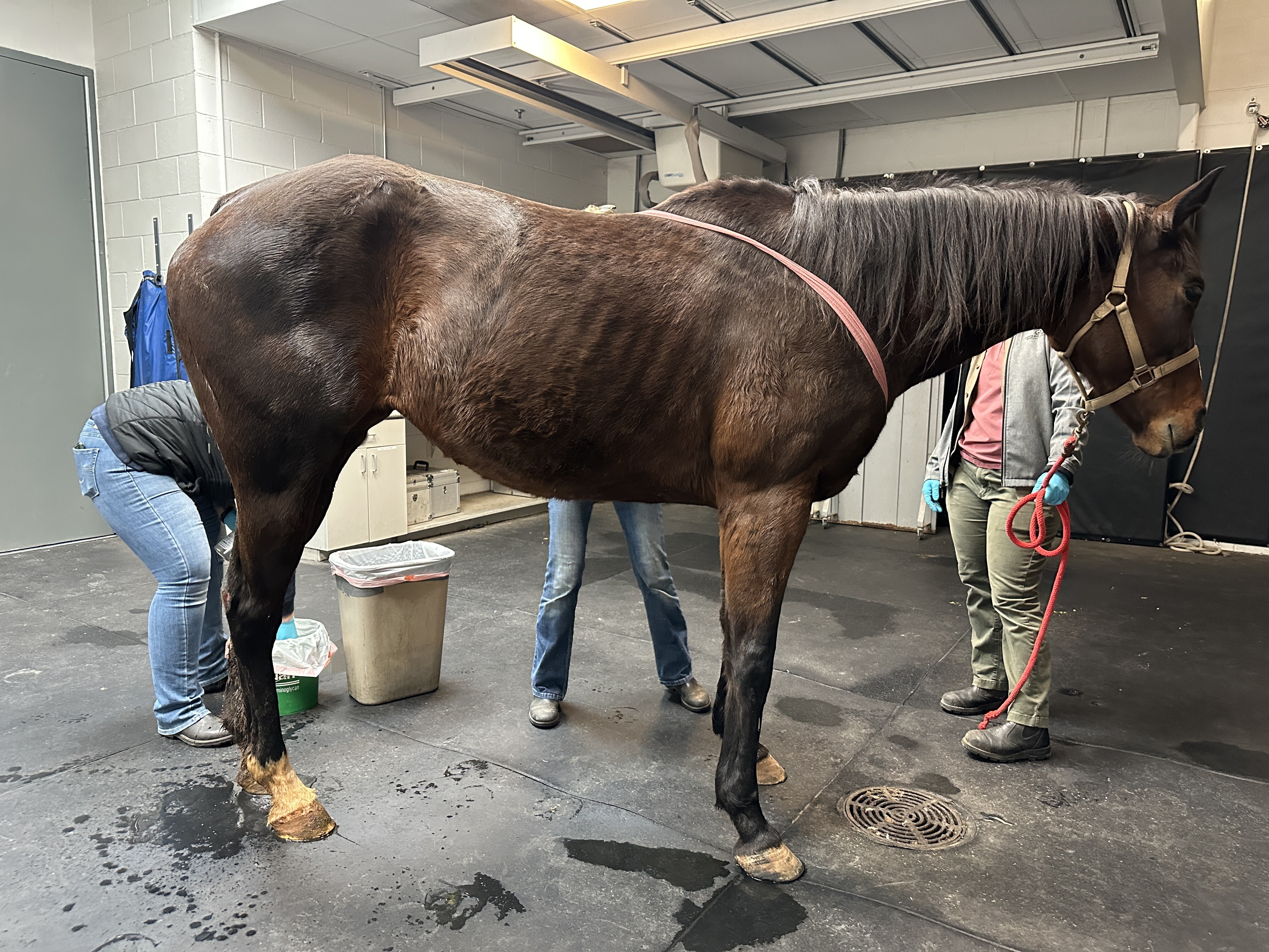 Campaign cover image for Help with Olivia's Care