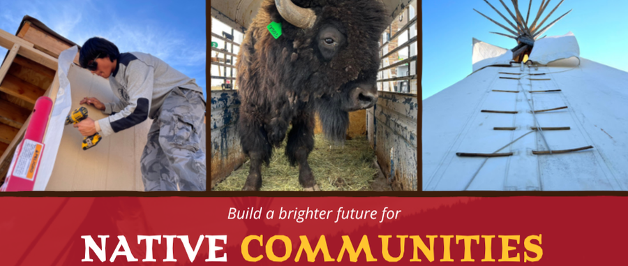 Campaign cover image for Bison, Tiny Homes, & BIG Impact