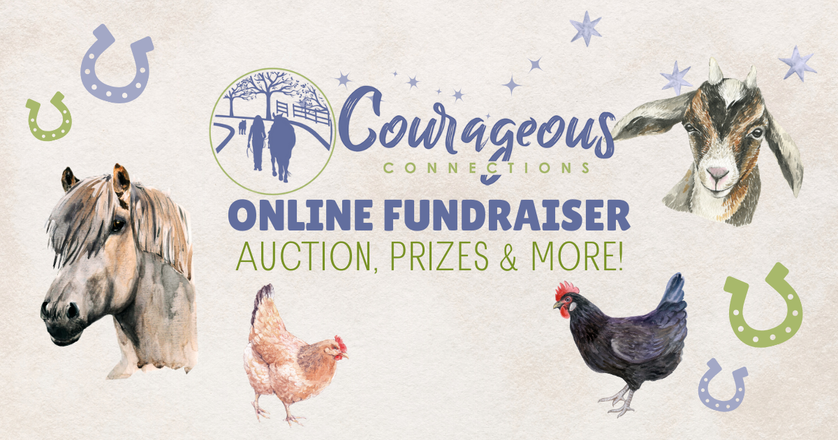 Campaign cover image for Courageous Connection Annual Fundraiser