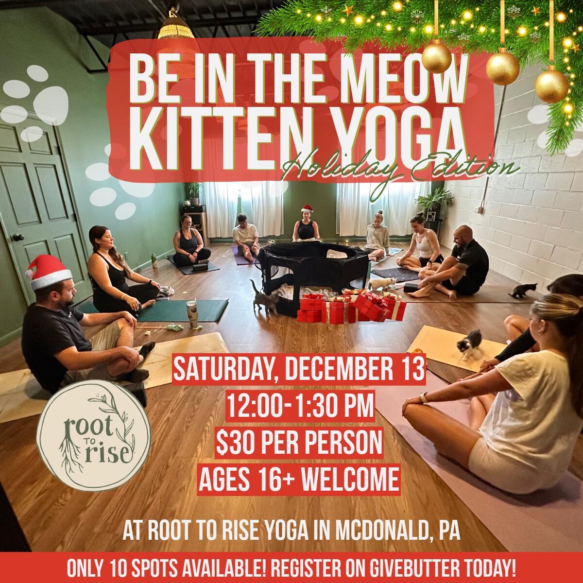 Campaign cover image for Be in the Meow Kitten Yoga - Holiday Edition