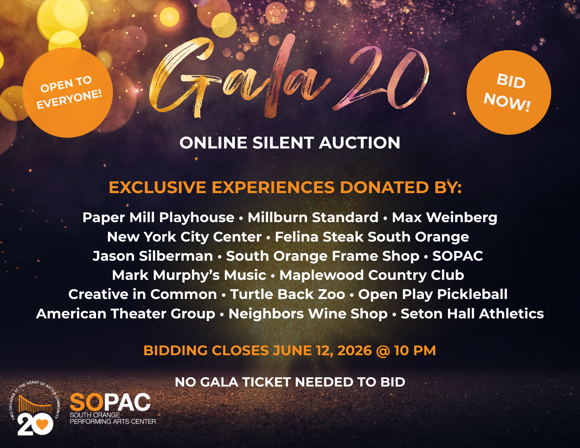 Campaign cover image for SOPAC Gala 20 Silent Auction