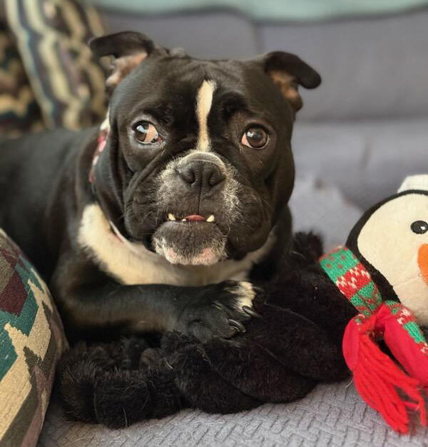 Campaign cover image for Help Mabel Buy Her Golden Ticket to Life