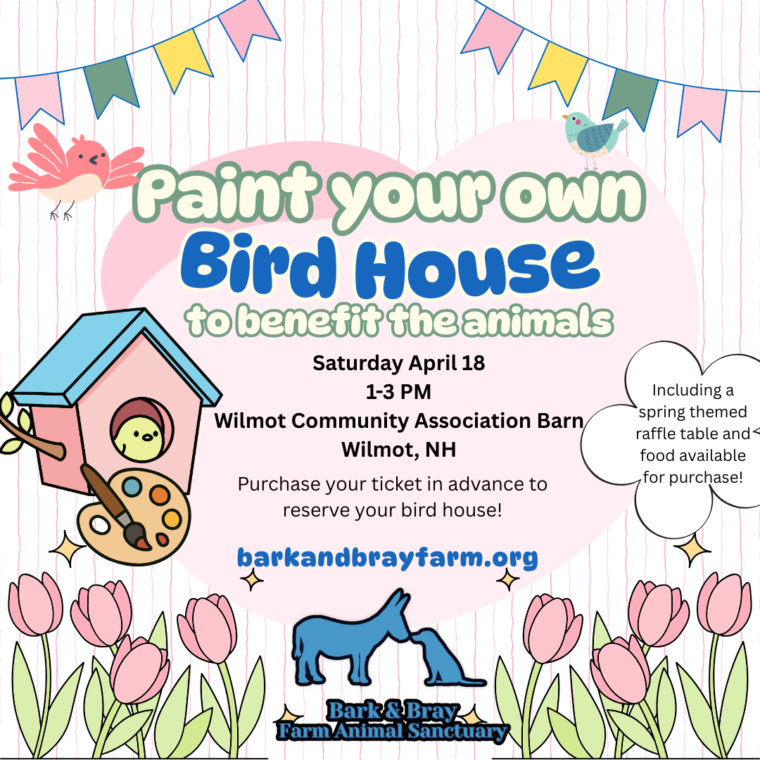 Campaign cover image for Paint Your Own Bird House 2026