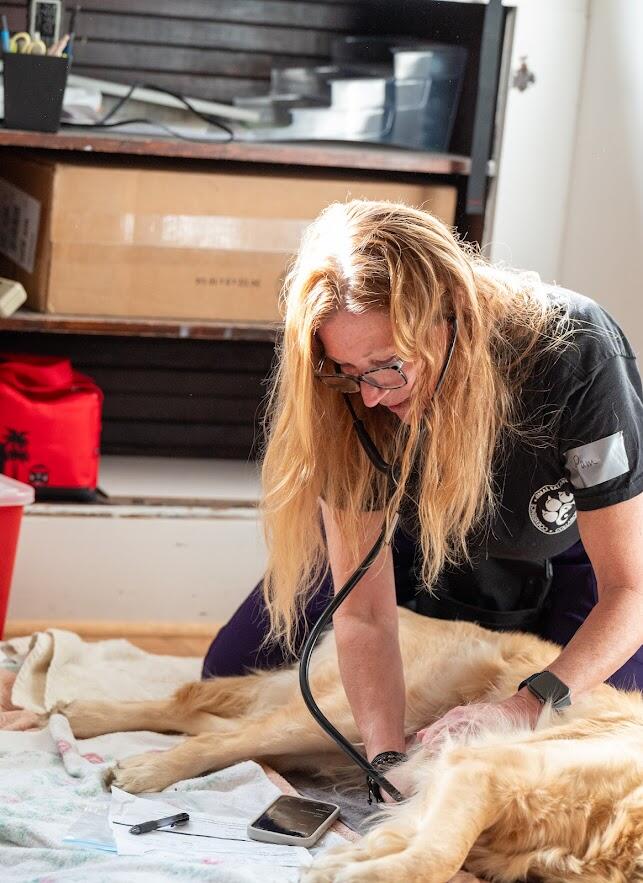 Campaign cover image for Planned Pethood Fund