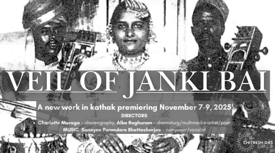 Campaign cover image for VEIL OF JANKI BAI