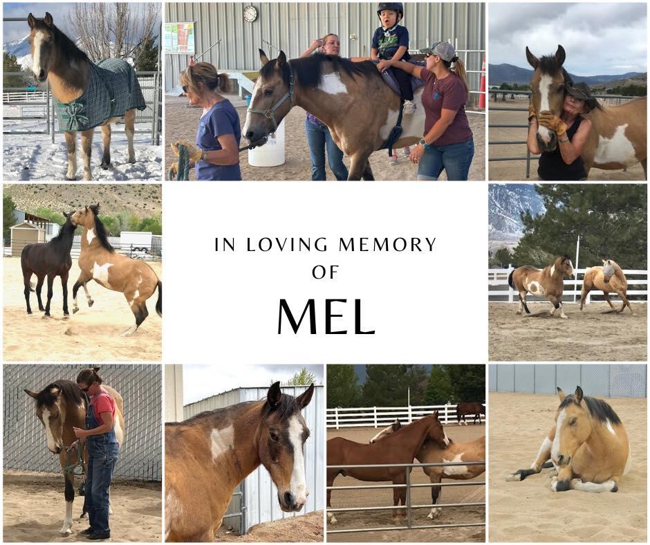 Campaign cover image for In Loving Memory of Mel