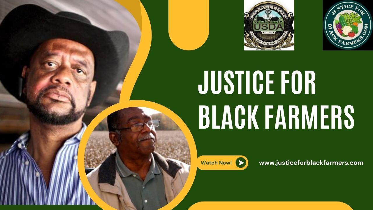 Campaign cover image for Justice for Black Farmers