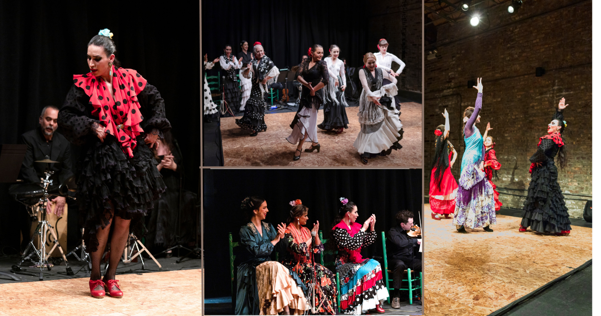 Campaign cover image for Permanent Studio Fund: A Home for Flamenco in Chicago