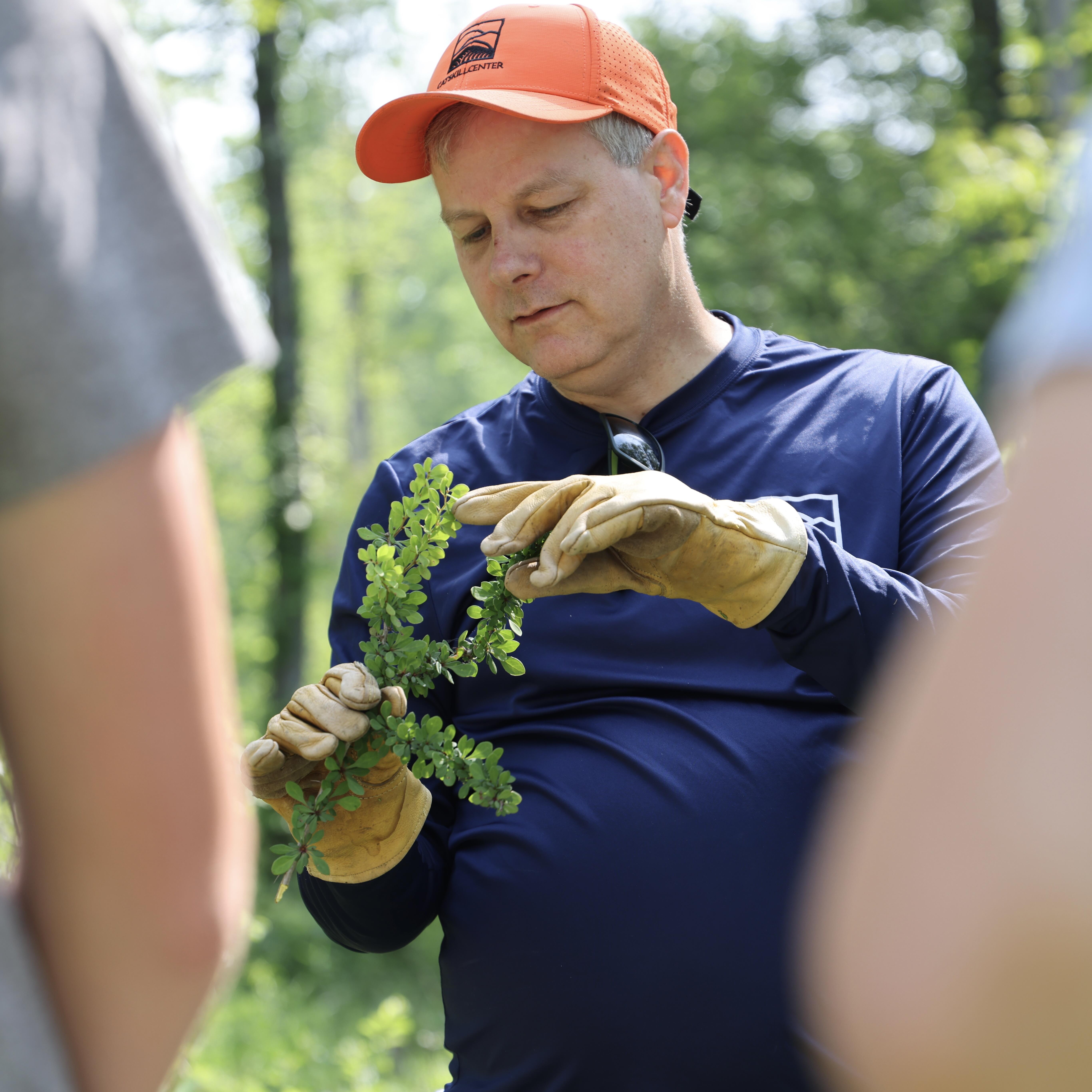 Campaign cover image for Foster Native Tree Resilience: Invasive Plant Removal and ID Training