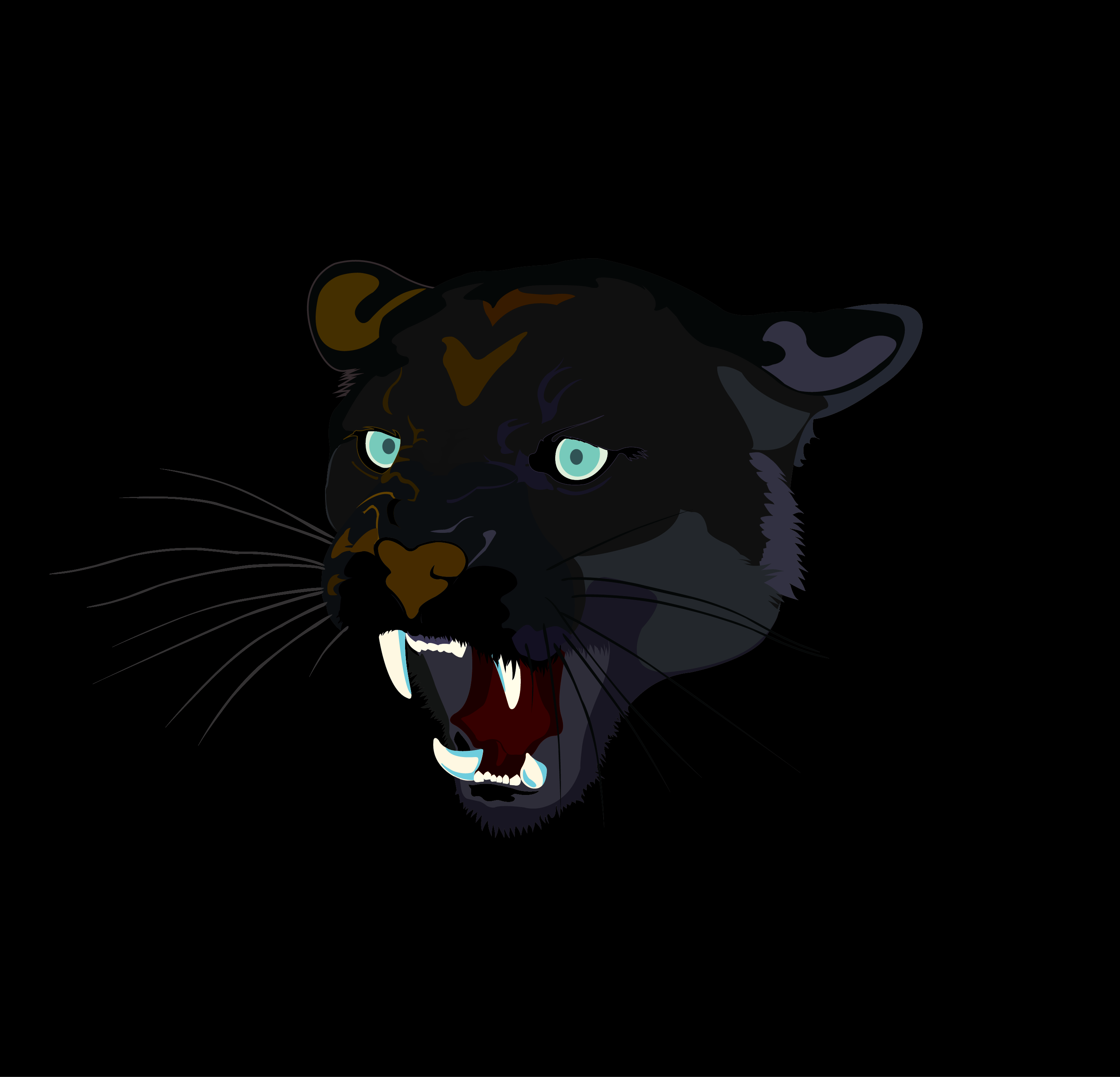 Campaign cover image for Transpanthers