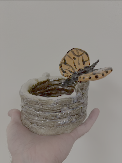 Campaign cover image for Beginner Coil Pot Workshop