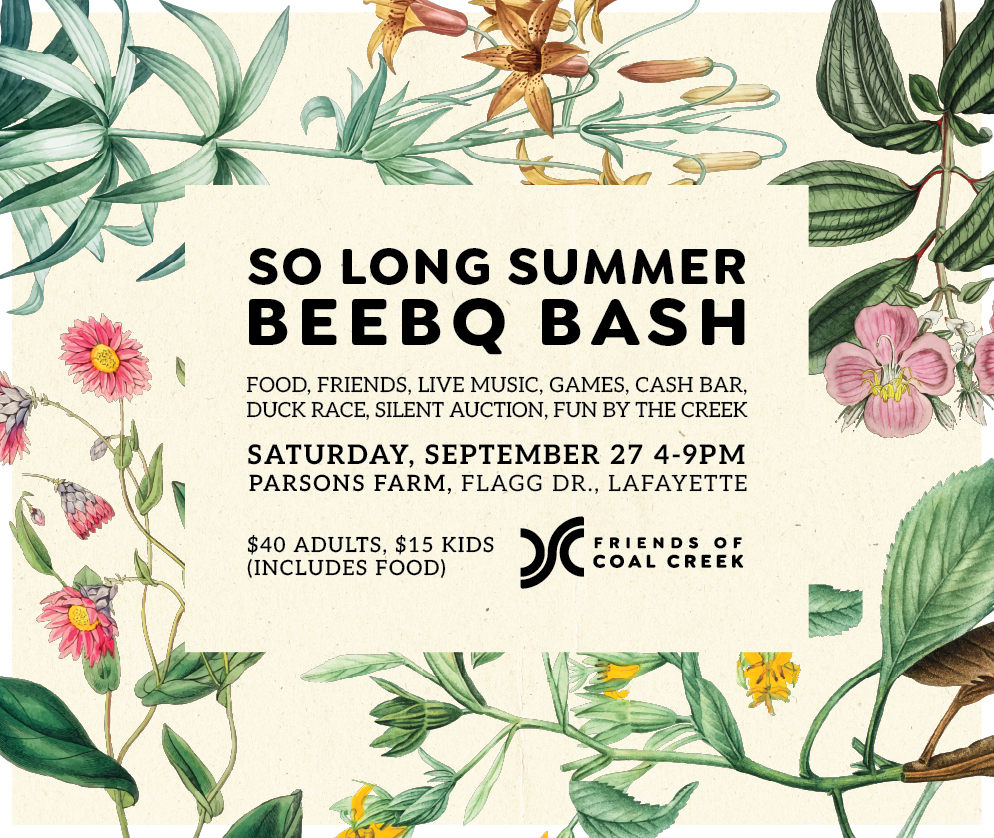 Campaign cover image for End of Summer BeeBQ Bash